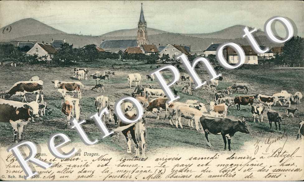Vue Exterieure, les Vosges
