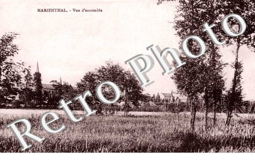Vue d'Ensemble
