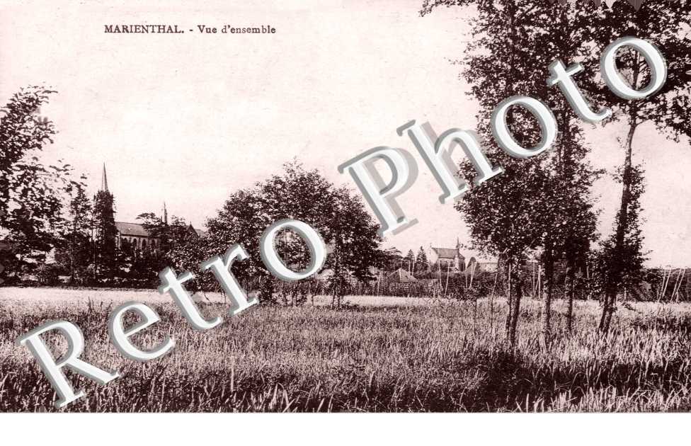 vue d'ensemble