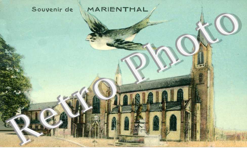 La basilique 