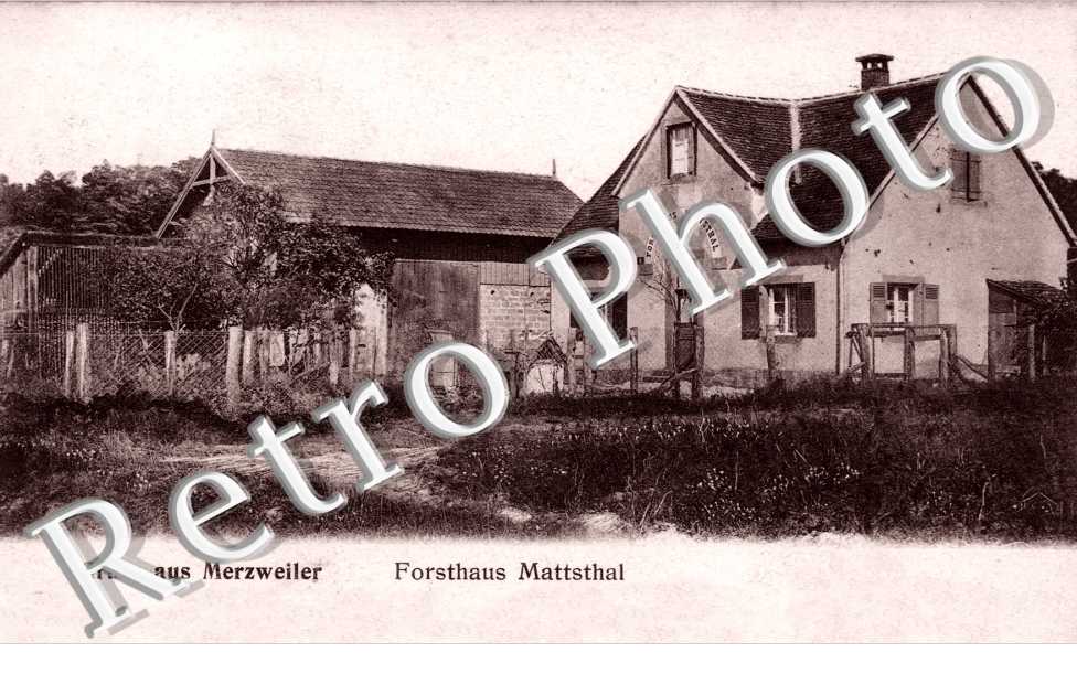 forsthaus Mattsthal