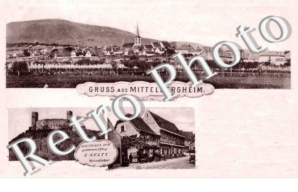 Scloss Andlau  Gasthaus zum goldenen Pflug  E. Seltz  Weinslicher