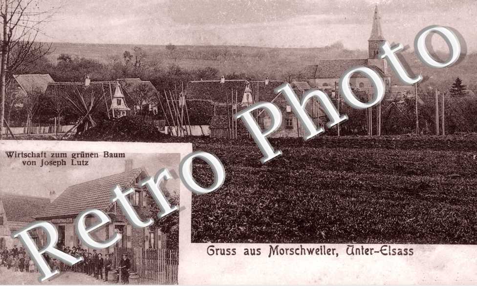 Wirtschaft zum grunen Baum von Joseph Lutz