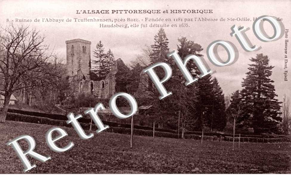 ruines de l'abbaye de Truttenhausen, pres Barr