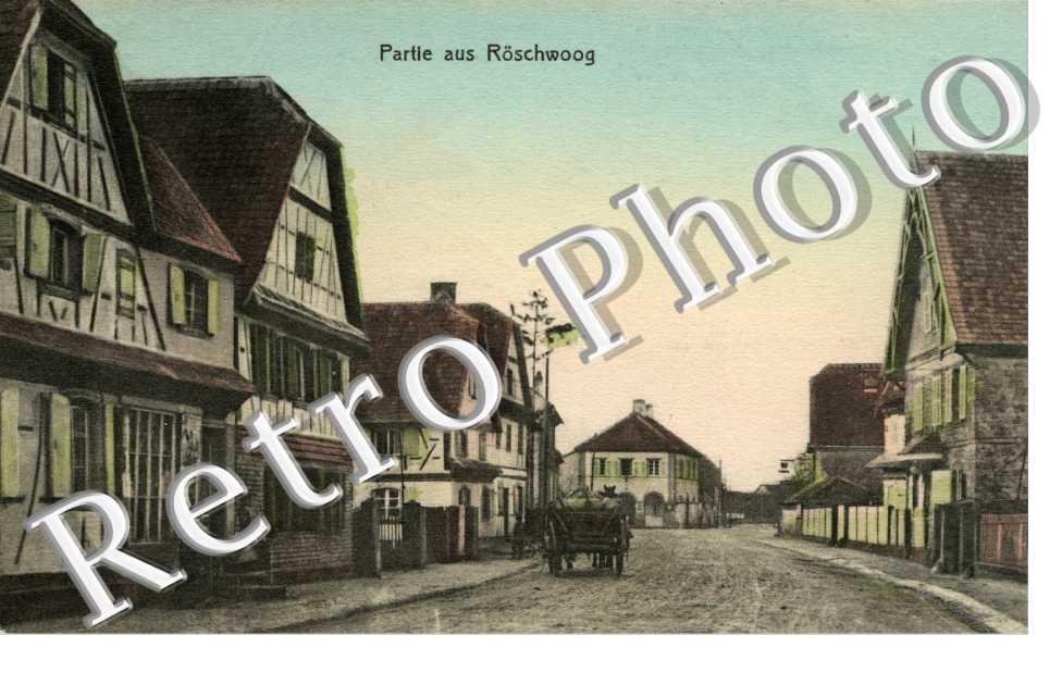 Partie aus Roscwoog