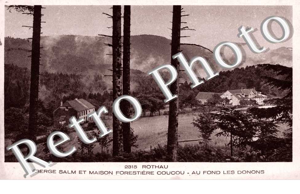 Auberge Salm et maison forestiere coucou - au fond les donjons