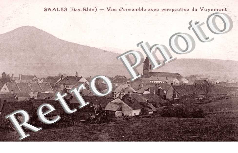 Vue d'Ensemble avec perspective du Voyemont