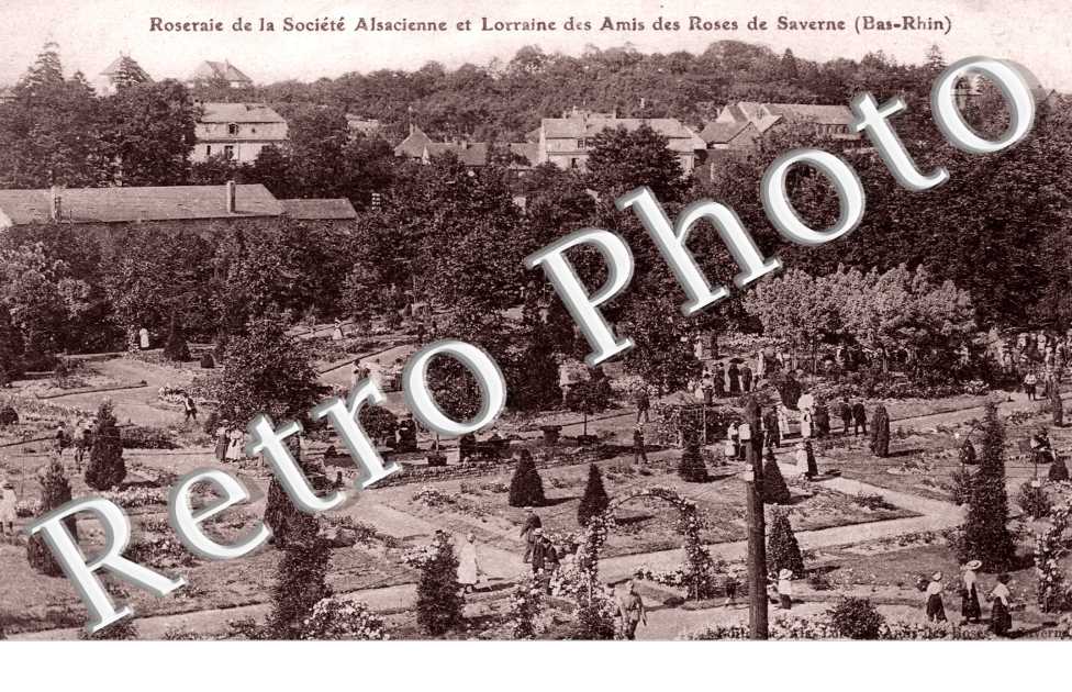 Roseraie de la Societe Alsacienne et Lorraine des Amis des Roses de Saverne