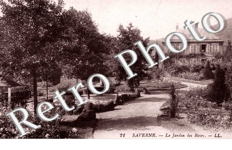 le jardin des roses