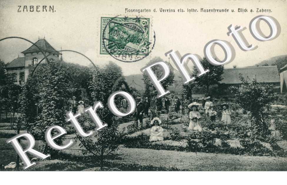 Rosengarten d. Vereins elsass lothringen Rosenfreunde und Blick am Zabern