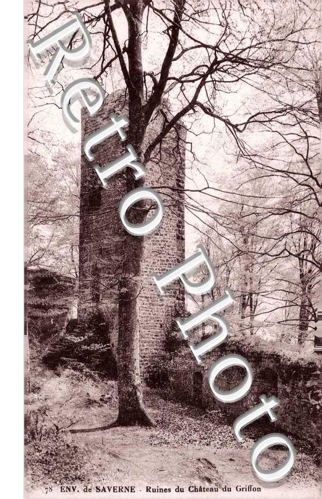 ruines du chateau du Griffon