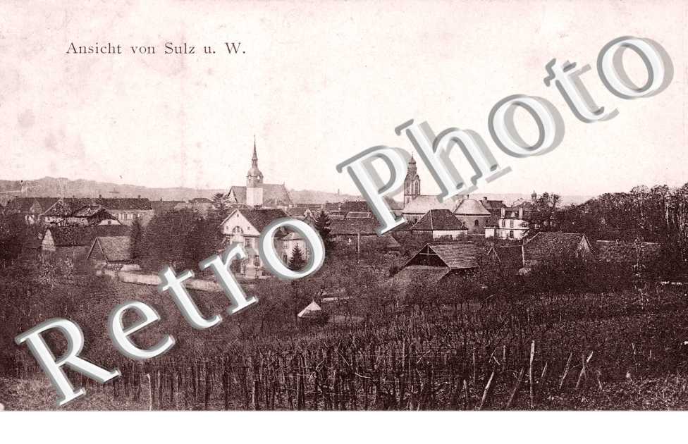 Panorama