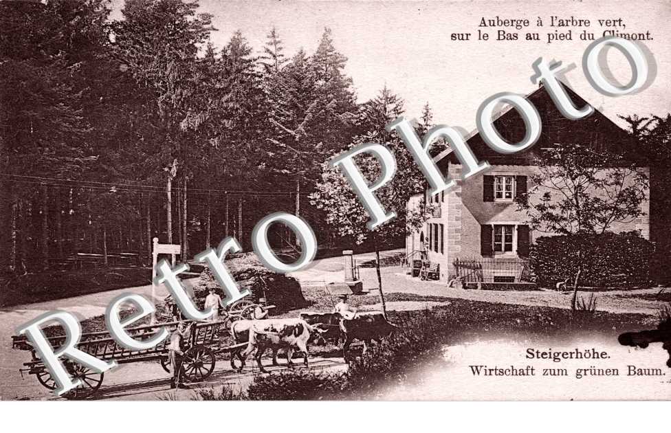 auberge a l'arbre vert sur le bas au pied de Climont