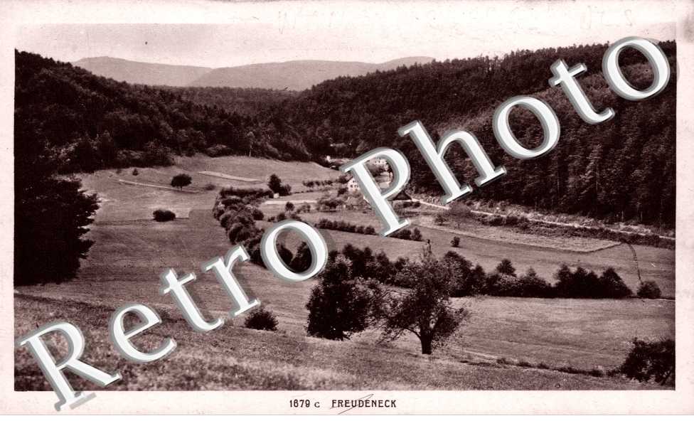 Freudeneck