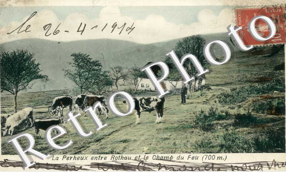 La Perheux entre Rothau et Champ