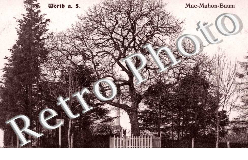 Mac Mahon Baum