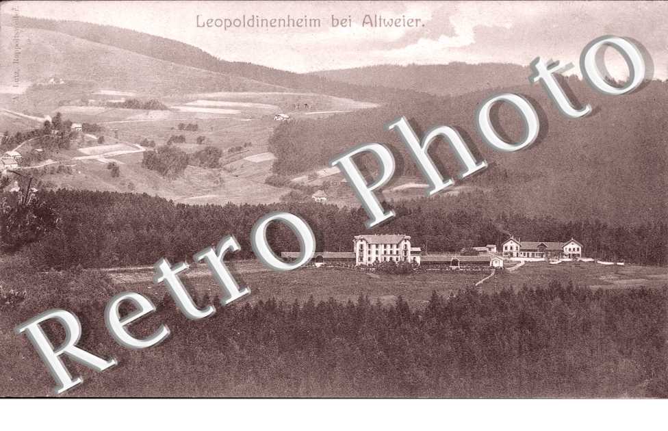 Leopolddinenheim