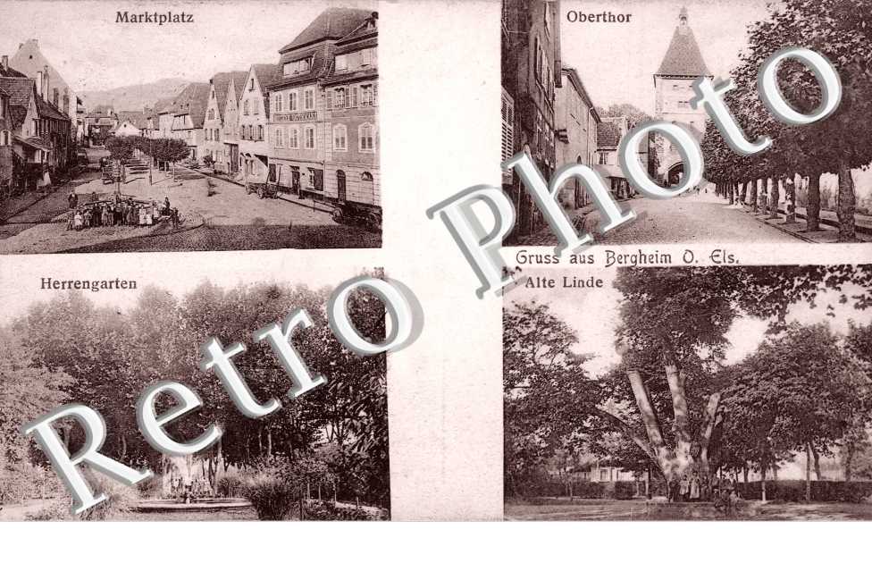 markplatz, obethor, herrengarten, alte linde