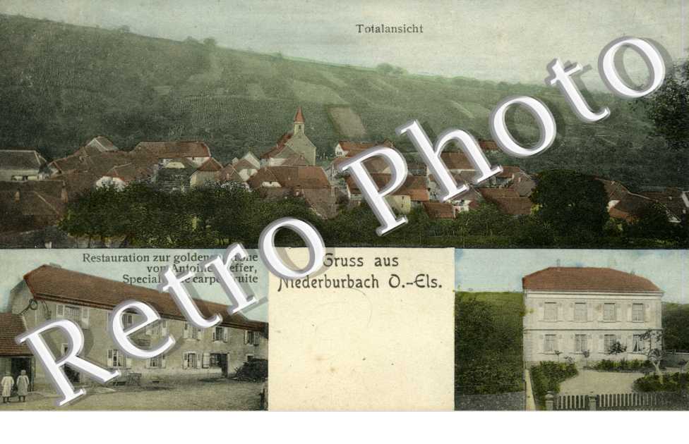 totalansicht, restauration z. goldenen Krone v. Anton Kieffer