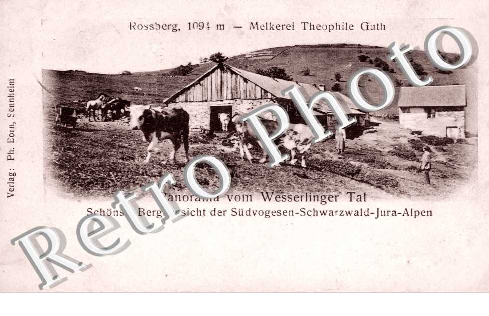 melkerei theophile guth