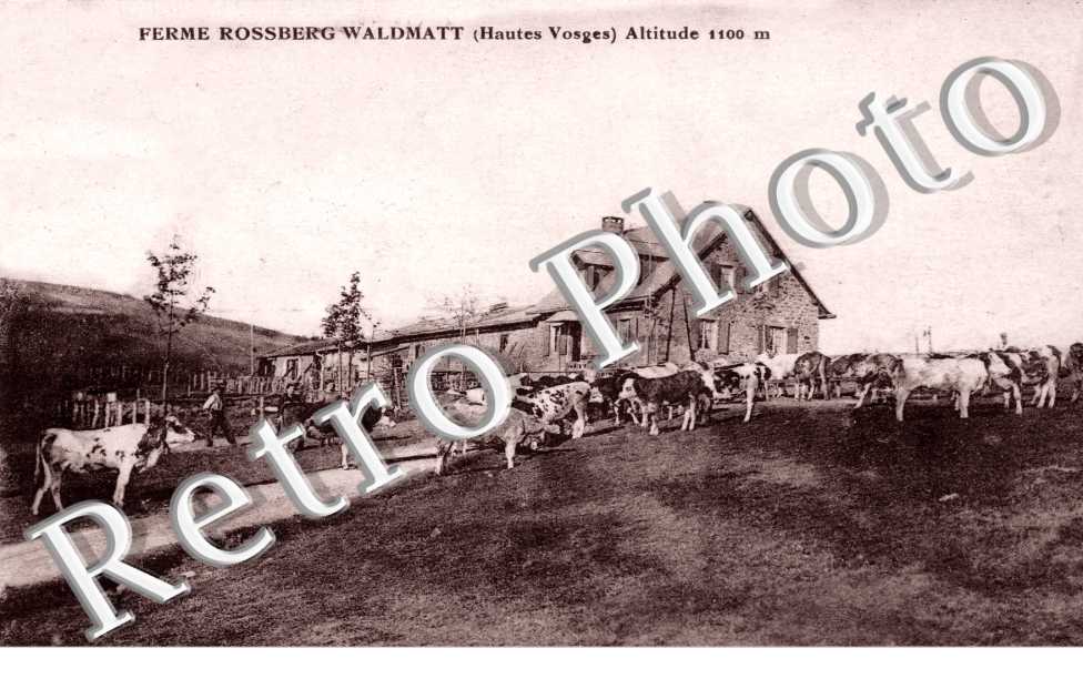 ferme rossberg waldmatt
