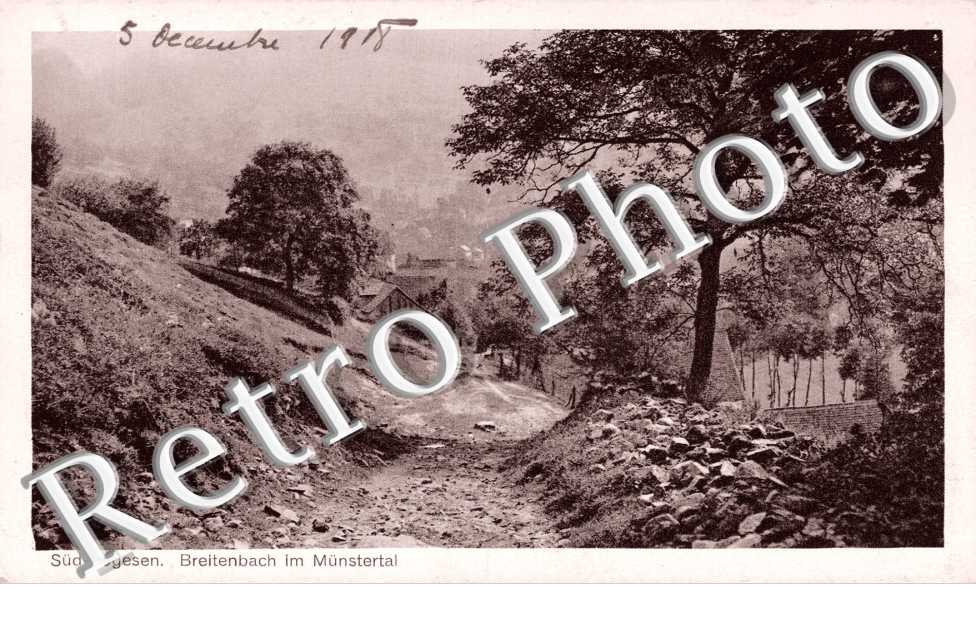 Breitenbach im Munstertal