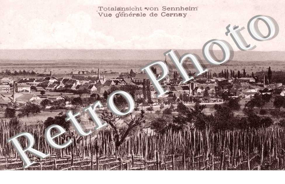 totalansicht vue generale