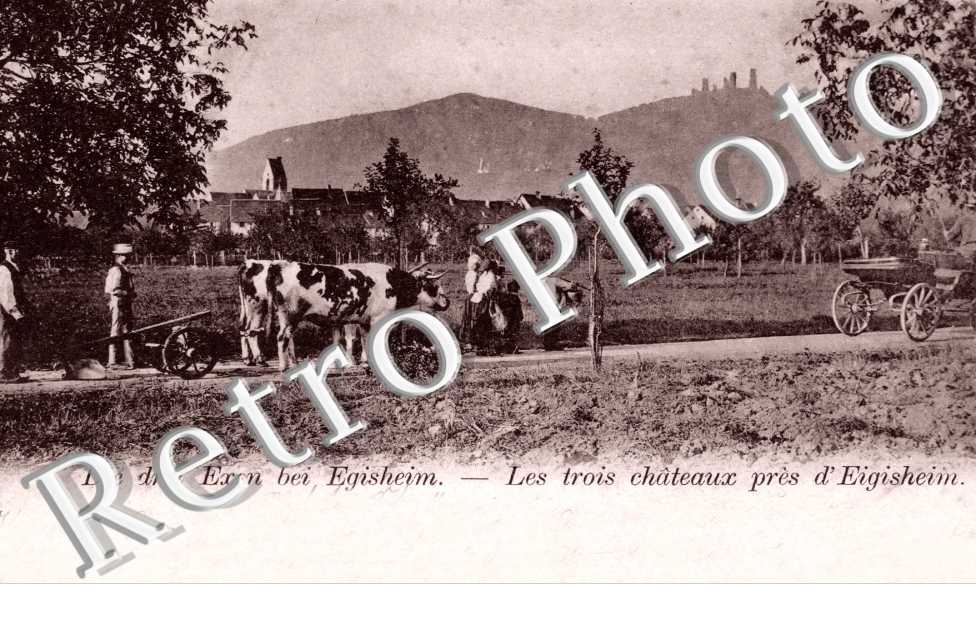 Die drei Exen bei Egisheim. les trois Chateaux pres d'Eigisheim