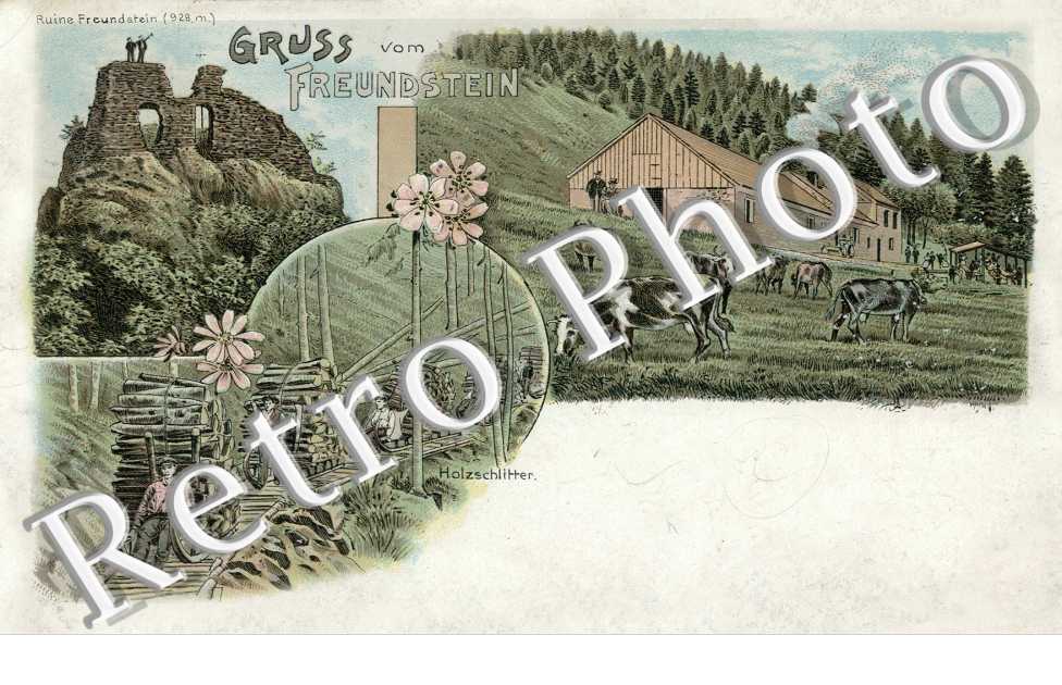 ruine freundstein
