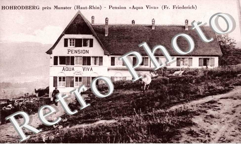 Pension " Aqua Viva"