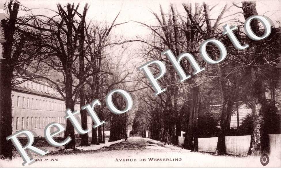 Avenue 