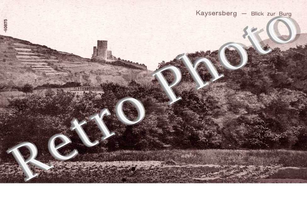 Blick zur Burg
