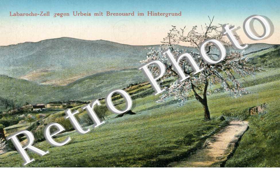Paysage