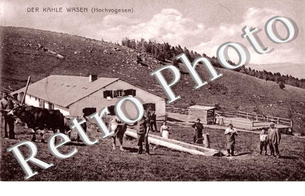 der Kahle Wasen