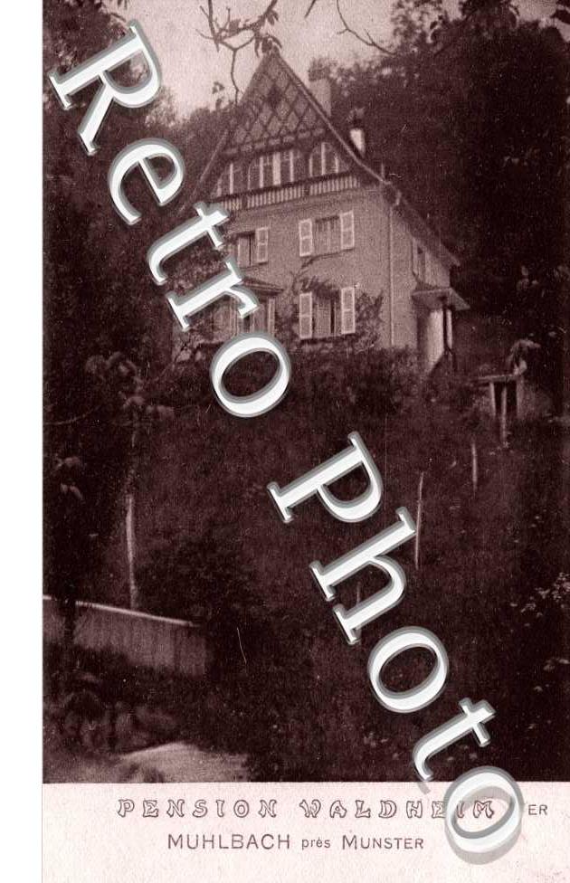 pension Waldheim