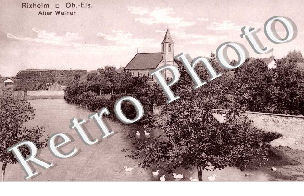 alter weiher