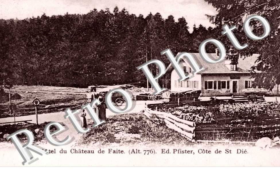 Hotel du Chateau de Faite