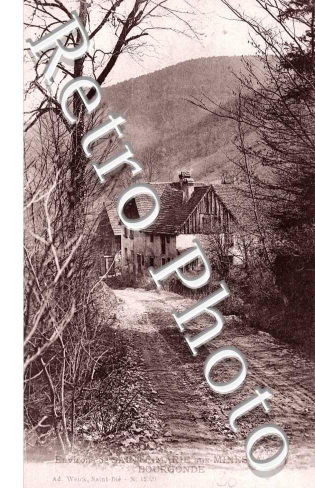 Bourgonde