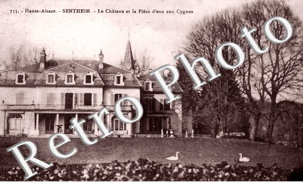 le chateau et la piece d'eau aux cygnes