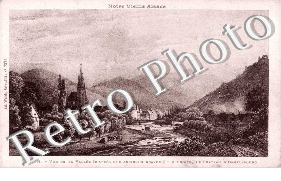 le Chateau d'engelsbourg et la vallee