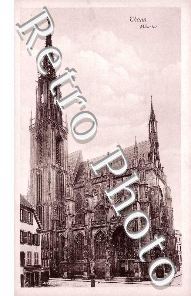 la Cathedrale