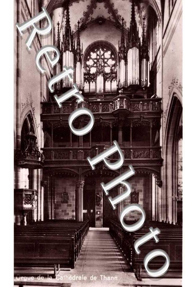 la Cathedrale