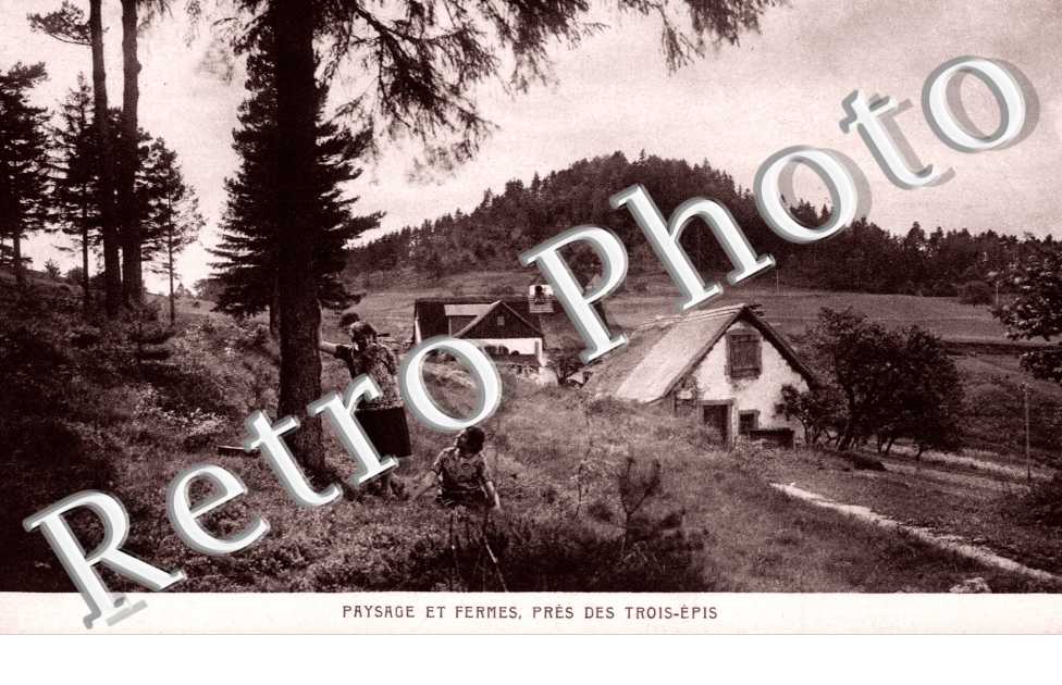 Paysage et fermes