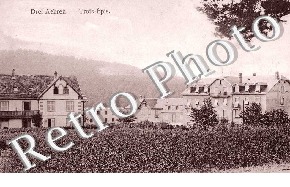 ( Vue generale)