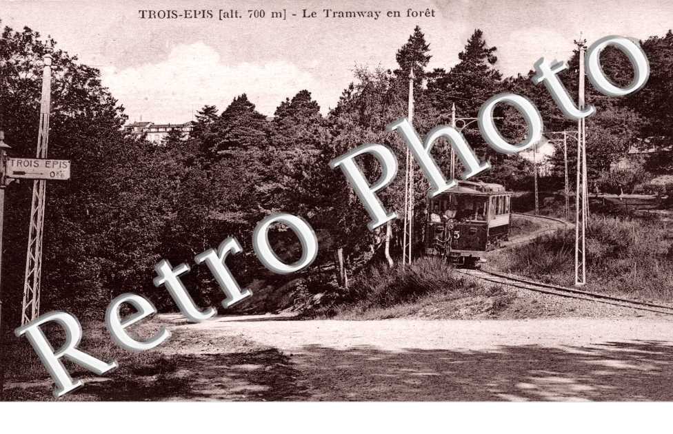 LE TRAMWAY EN FORËT