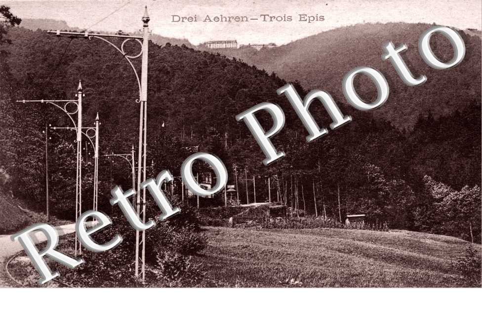 Drei Aehren - Trois Epis