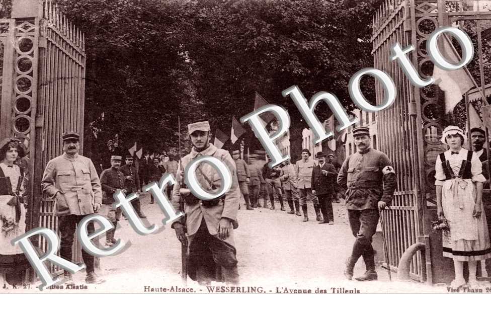 l'avenue des Tilleuls