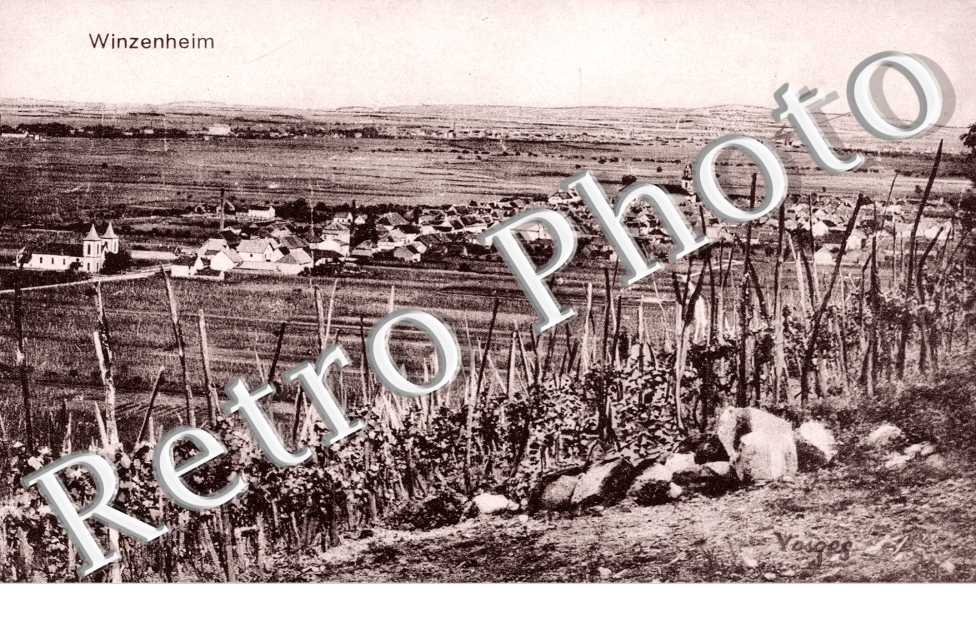 foret noire et Colmar