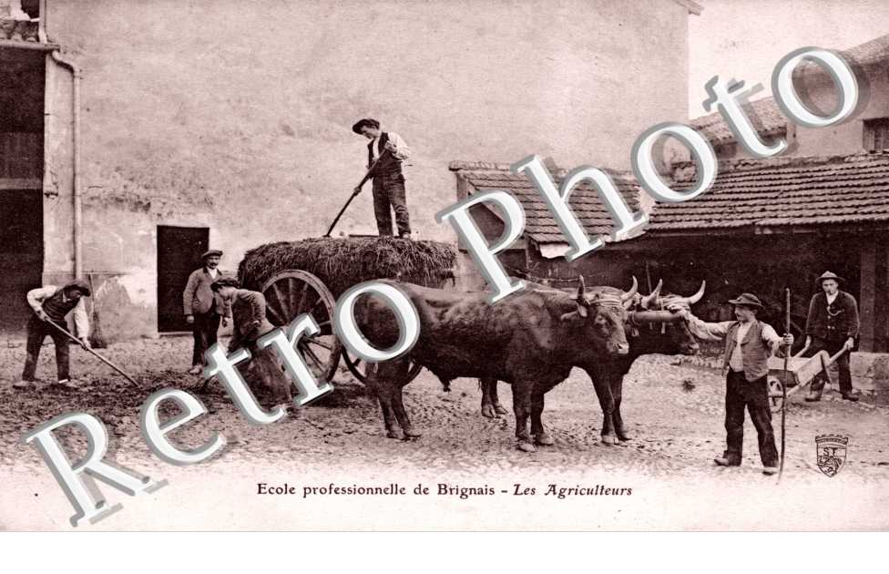 Ecole professionnelle de Brignais - Les agriculteurs