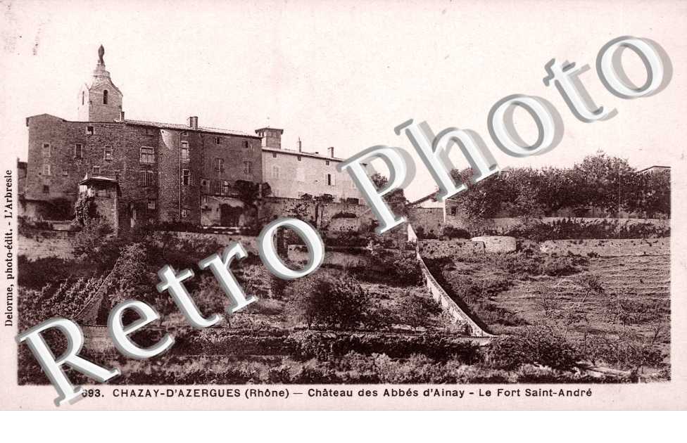 Chateau des Abbes d'Ainay, Fort Saint Andre